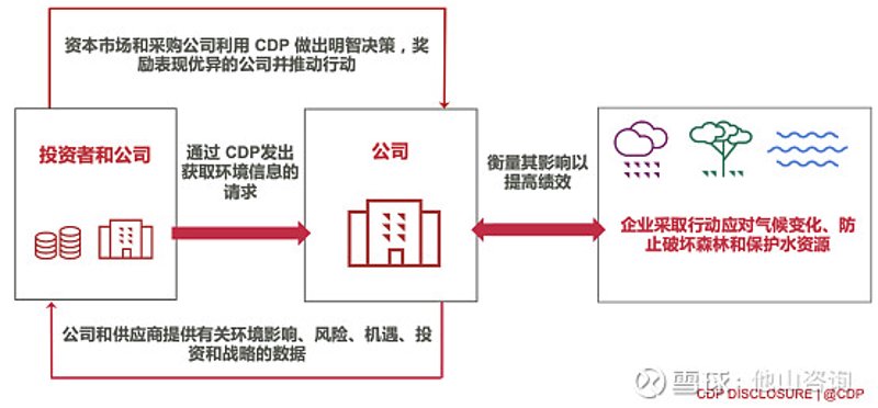 碳排放监测：环保新利器